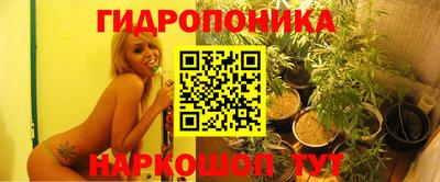 дживик Будённовск