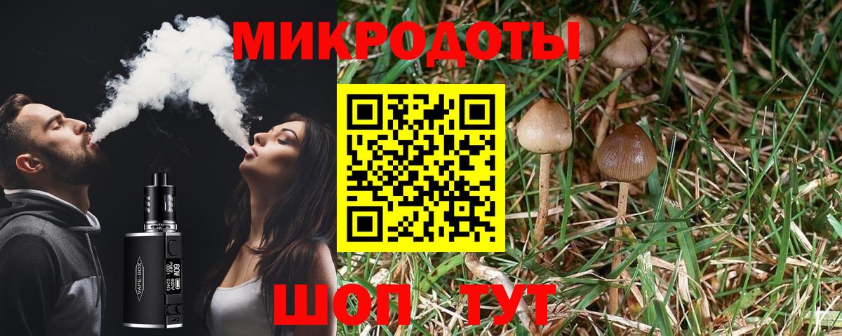 Новокузнецк  Галлюциногенные грибы Psilocybe  Вход с VPN  Псилоцибиновые грибы Magic Shrooms 